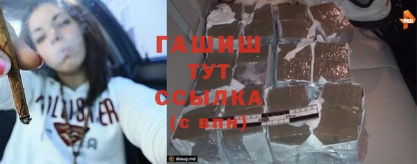 прущие грибы Приозерск
