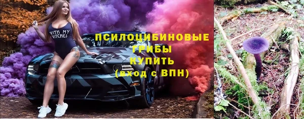 дживик Арсеньев
