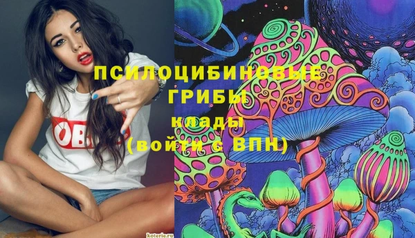 прущая мука Аркадак