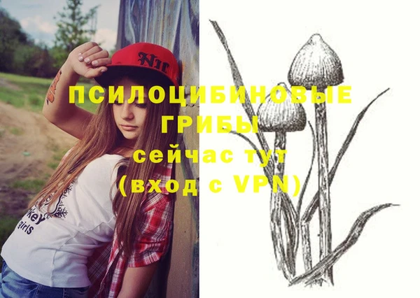 синтетический гашиш Армянск