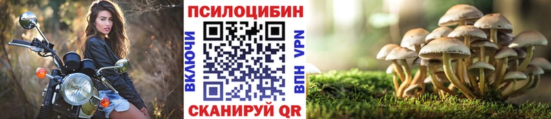 Псилоцибиновые грибы ЛСД  гидра как зайти  Сасово 